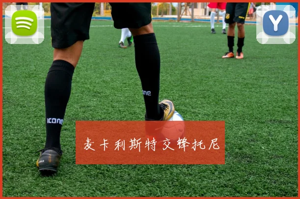 麦卡利斯特交锋托尼