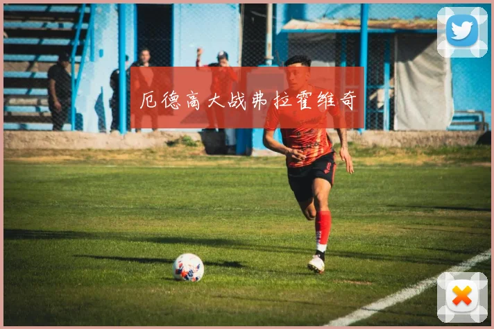 厄德高大战弗拉霍维奇