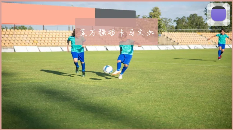 莱万强碰卡马文加