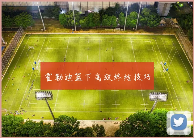 霍勒迪篮下高效终结技巧