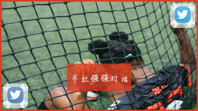 辛杜强强对话