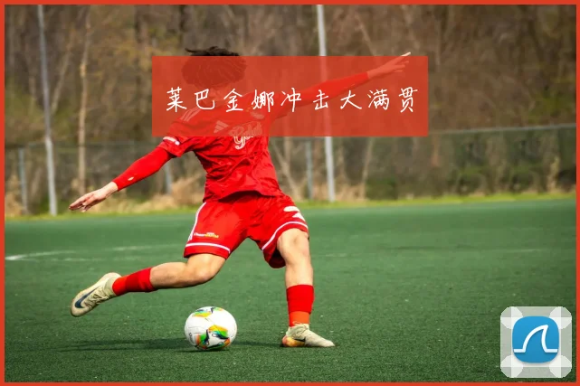 莱巴金娜冲击大满贯
