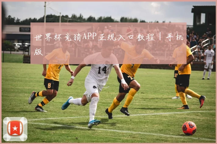 世界杯竞猜APP正规入口教程｜手机版