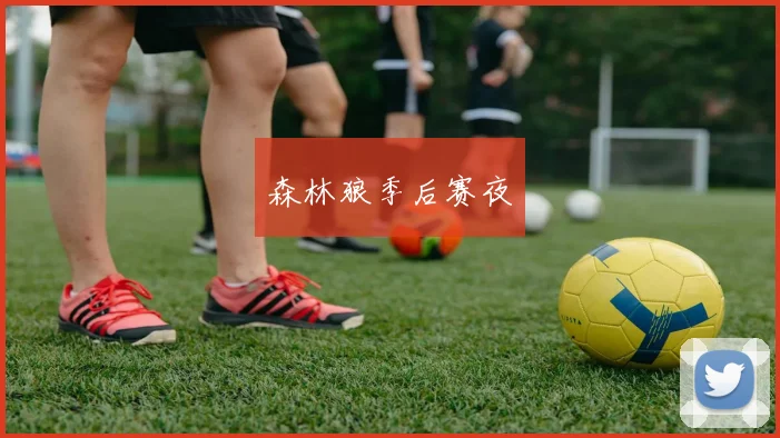 森林狼季后赛夜