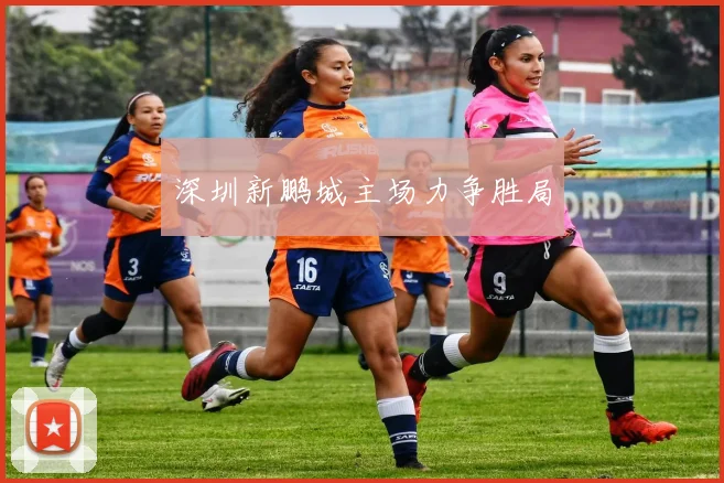 深圳新鹏城主场力争胜局