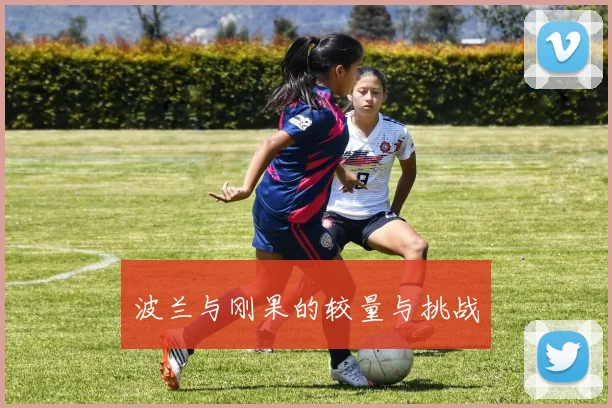 波兰与刚果的较量与挑战