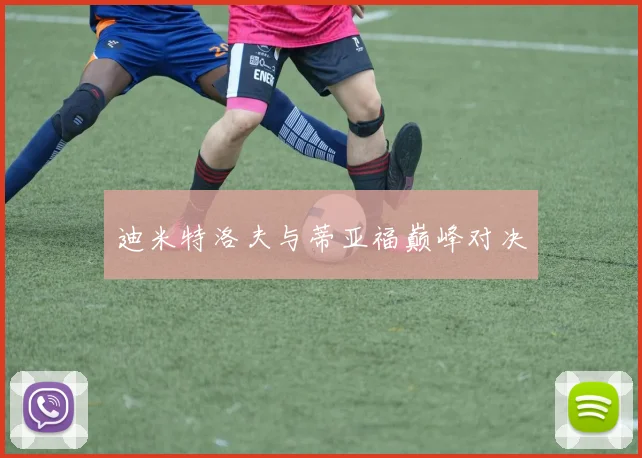 迪米特洛夫与蒂亚福巅峰对决