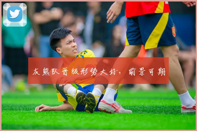 灰熊队晋级形势大好，前景可期