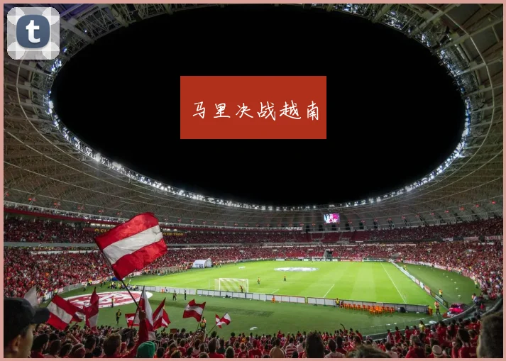 马里决战越南