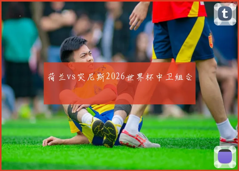 荷兰vs突尼斯2026世界杯中卫组合