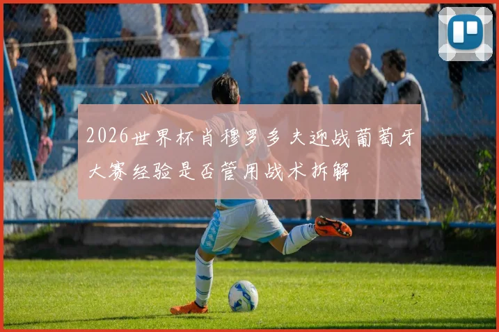 2026世界杯肖穆罗多夫迎战葡萄牙大赛经验是否管用战术拆解