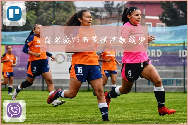 赫尔城vs布莱顿牌数趋势