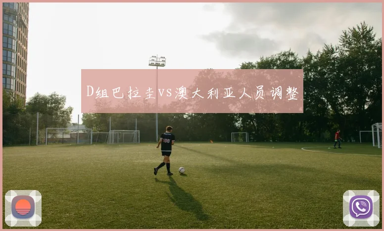 D组巴拉圭vs澳大利亚人员调整